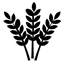 100% integral.png